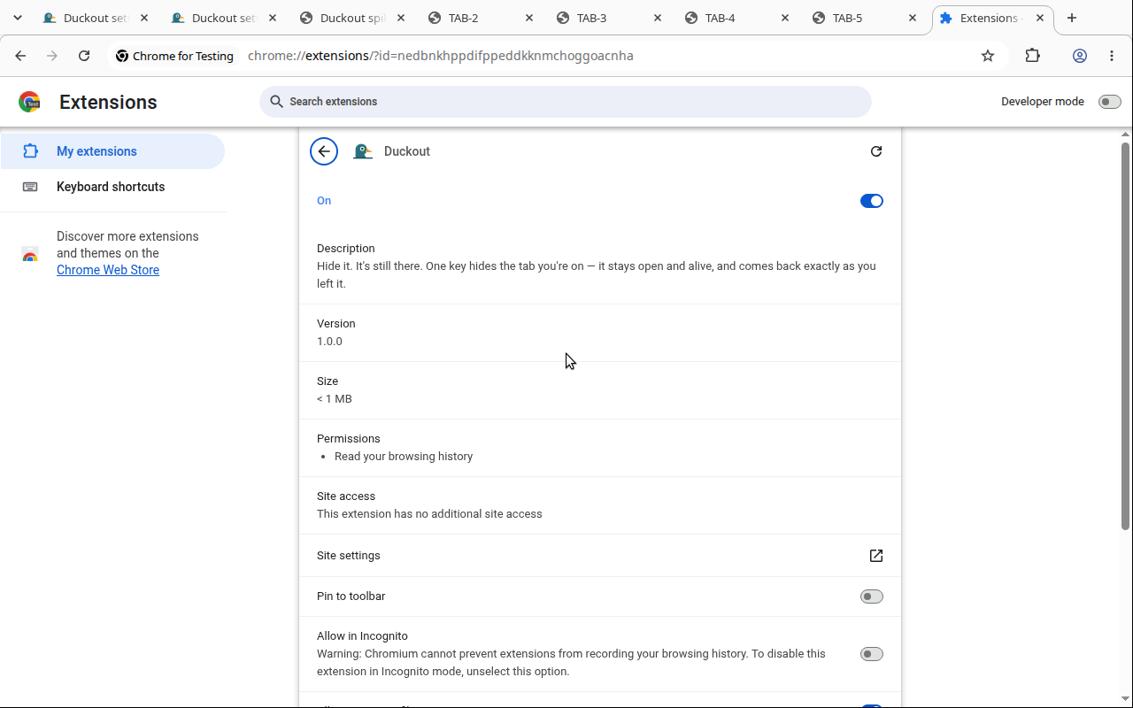 Chrome's permission list for Duckout — tab access only, no site access