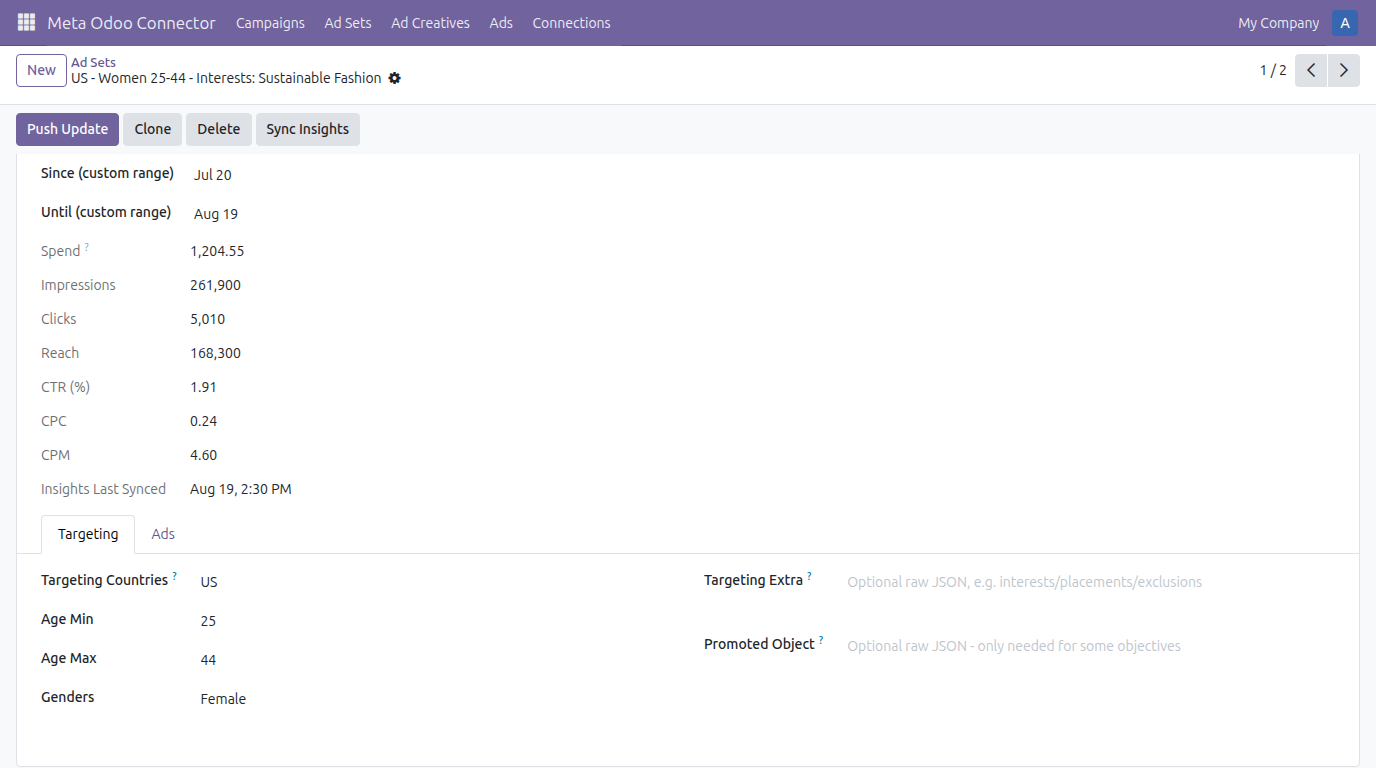 Ad set targeting and spend insights synced from Meta