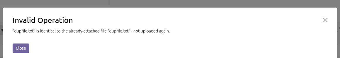 Duplicate File Guard in Odoo — screenshot guard